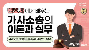 변호사에게 배우는 가사소송 기초 이론과 실무